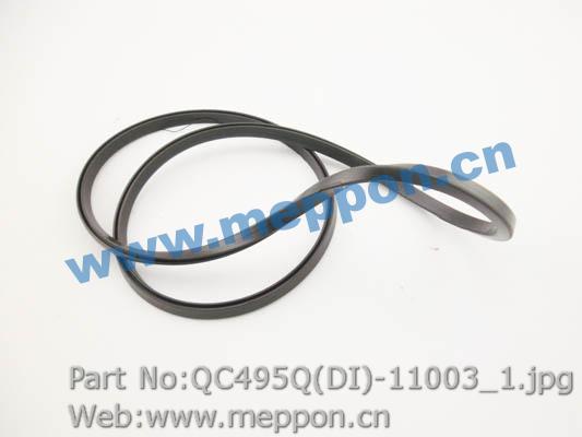 QC495Q(DI)-11003