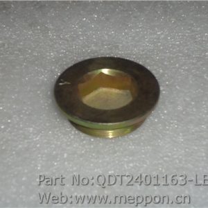 QDT2401163-LB