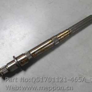 QS1701121-465A