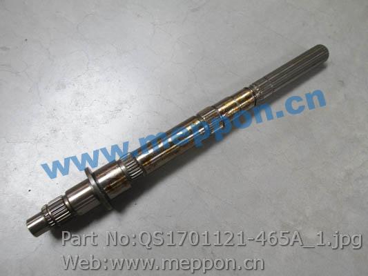 QS1701121-465A