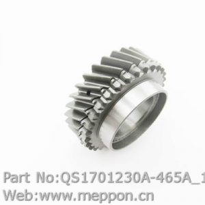 QS1701230A-465A