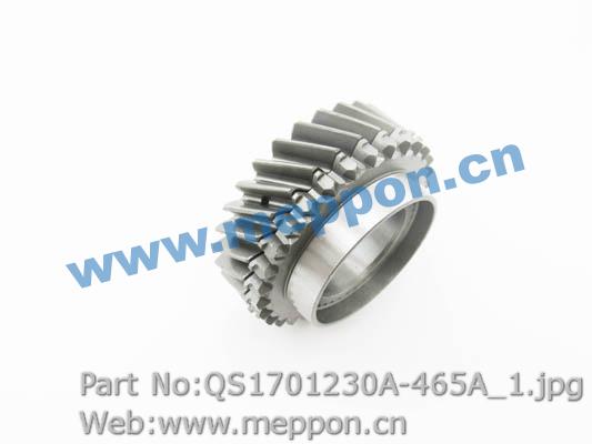 QS1701230A-465A