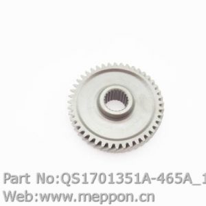 QS1701351A-465A