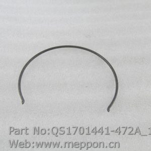 QS1701441-472A