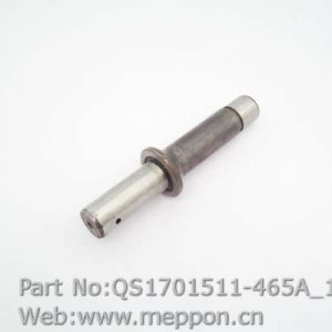 QS1701511-465A