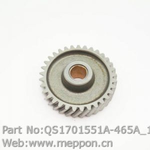 QS1701551A-465A