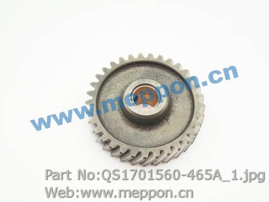 QS1701560-465A