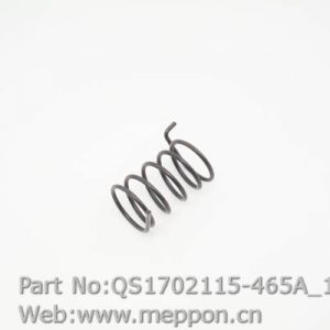 QS1702115-465A