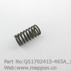 QS1702415-465A