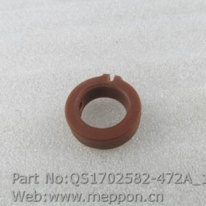 QS1702582-472A
