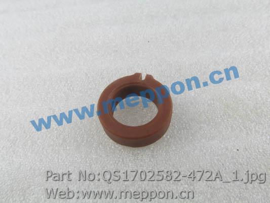 QS1702582-472A
