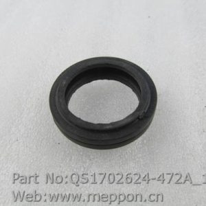 QS1702624-472A
