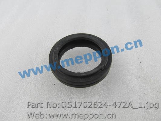 QS1702624-472A
