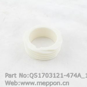 QS1703121-474A