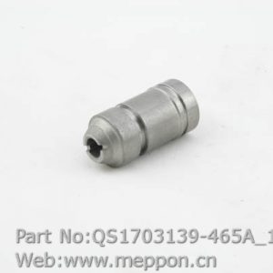 QS1703139-465A