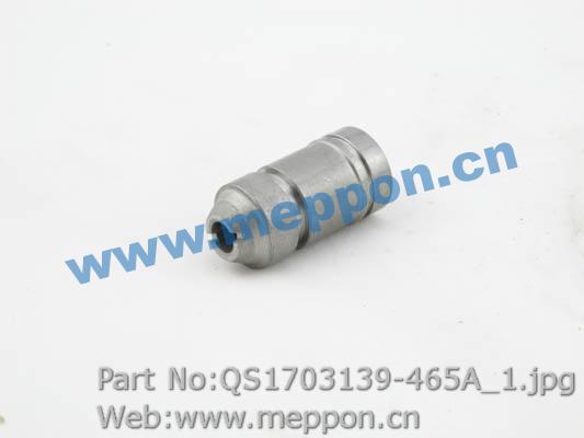 QS1703139-465A