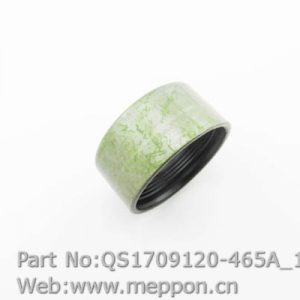 QS1709120-465A