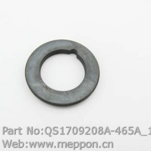 QS1709208A-465A