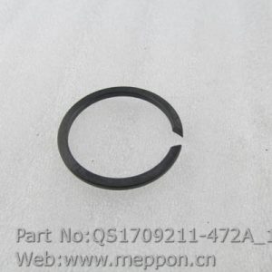 QS1709211-472A
