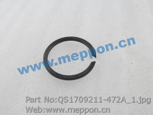 QS1709211-472A