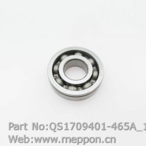 QS1709401-465A