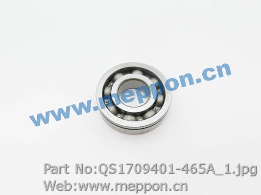 QS1709401-465A