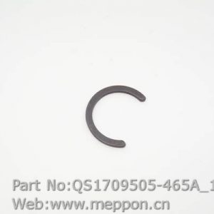 QS1709505-465A