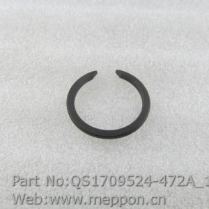 QS1709524-472A