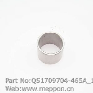 QS1709704-465A
