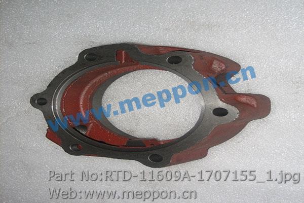 RTD-11609A-1707155