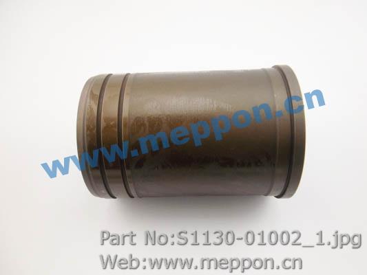 S1130-01002