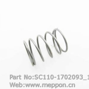 SC110-1702093