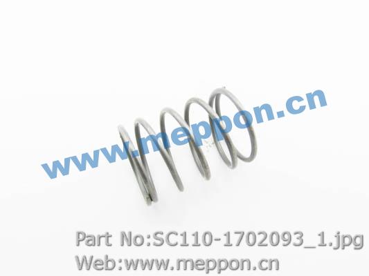 SC110-1702093