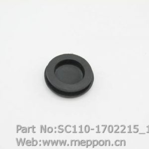 SC110-1702215