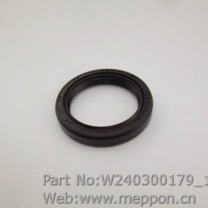 W240300179