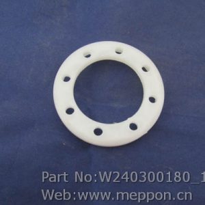 W240300180