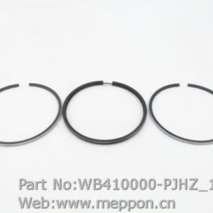 WB410000-PJHZ