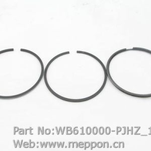 WB610000-PJHZ