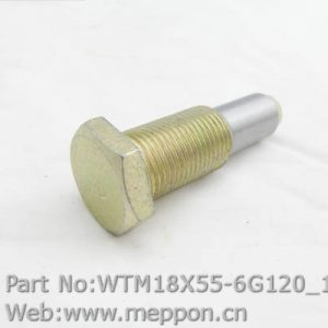 WTM18X55-6G120