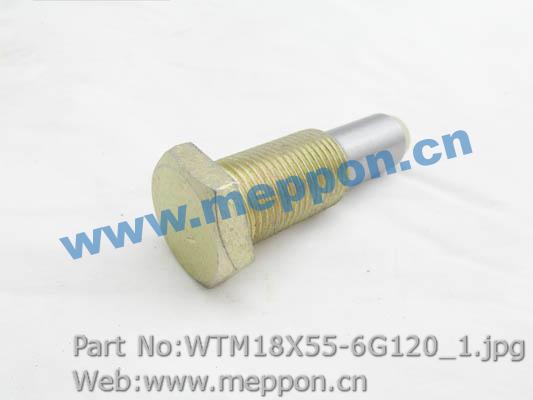 WTM18X55-6G120