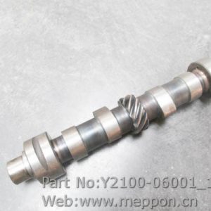 Y2100-06001