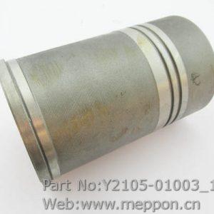 Y2105-01003