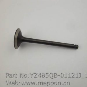 YZ485QB-01121J Intake valve