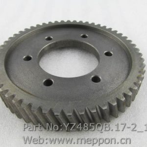 YZ485QB.17-2 Fuel injection pump gear (2100101)