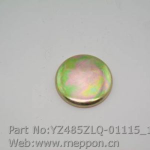 YZ485ZLQ-01115 Blockage (2014523)