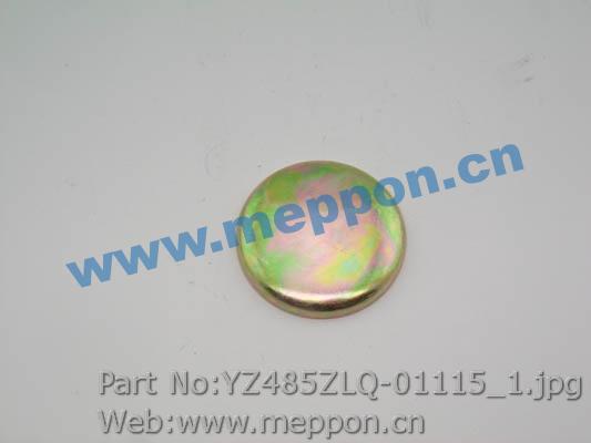 YZ485ZLQ-01115 Blockage (2014523)