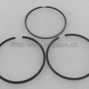 YZ4DC2-30-03002 Piston ring assembly