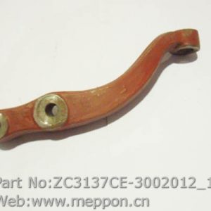 ZC3137CE-3002012