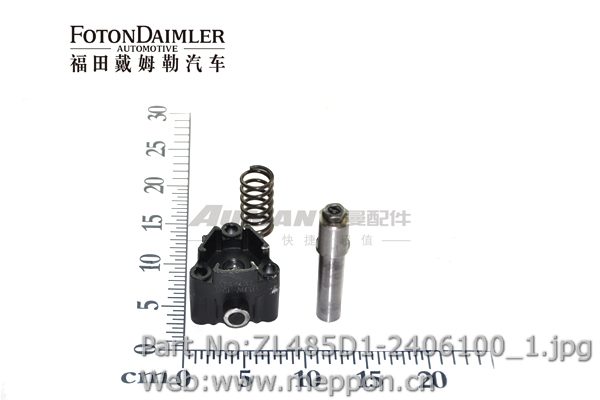 ZL485D1-2406100