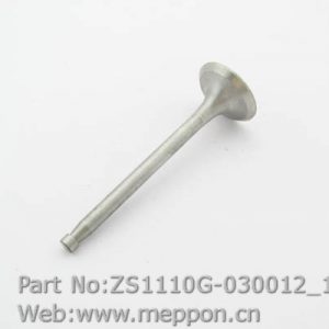 ZS1110G-030012